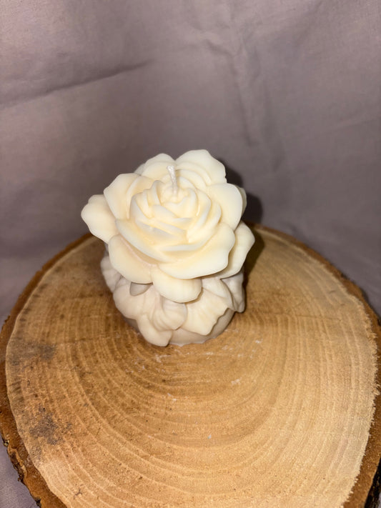 Rose Eternelle